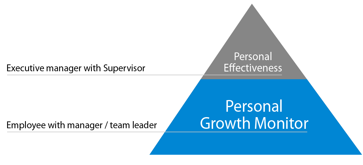 Personal Effectiveness and the Personal Growth Monitor